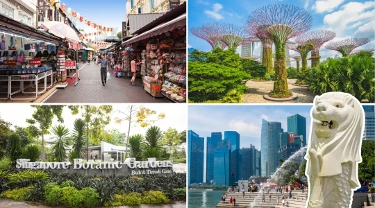 シンガポール市内観光+世界遺産・シンガポール植物園　ナショナル・オーキッド・ガーデン入場付き